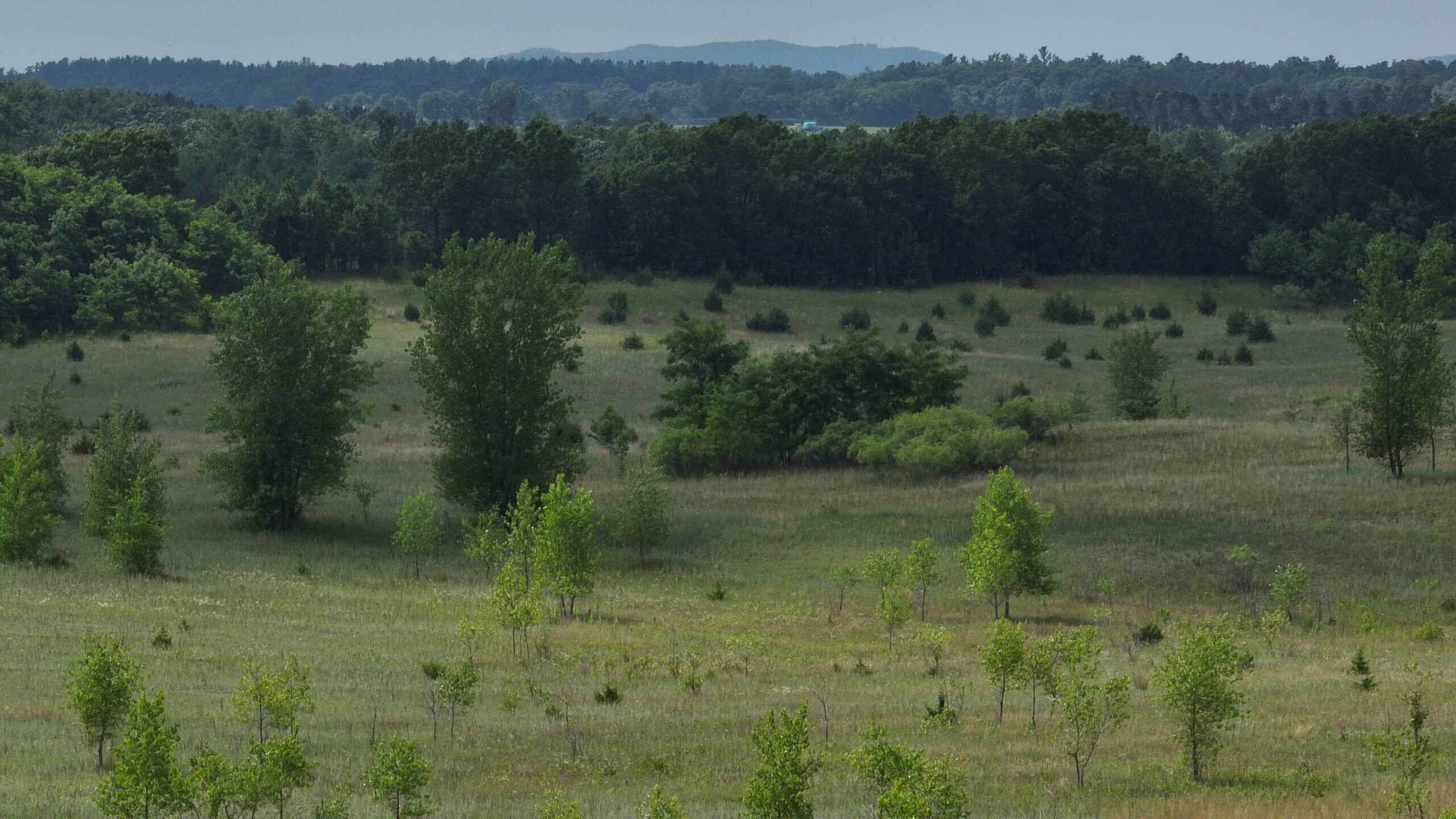 100-Acre Legacy Recreational Tract with Dual Road Frontage | Adams County, Wisconsin