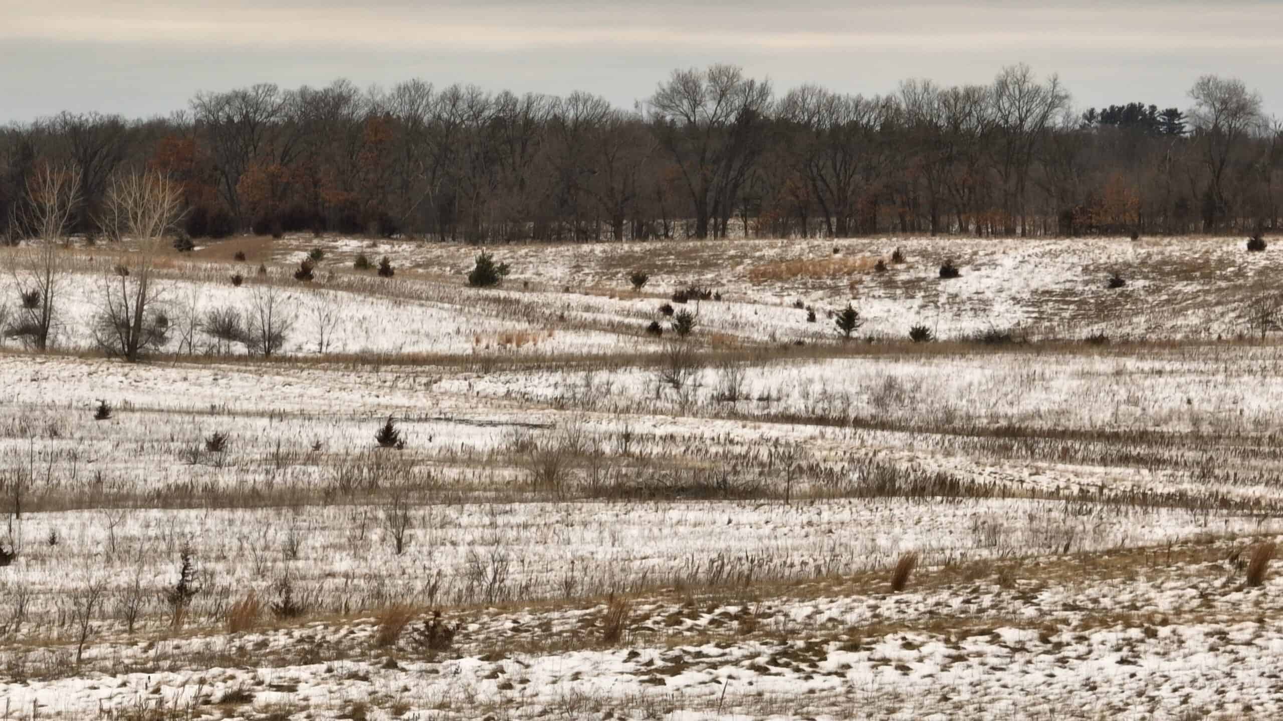 100-Acre Legacy Recreational Tract with Dual Road Frontage | Adams County, Wisconsin