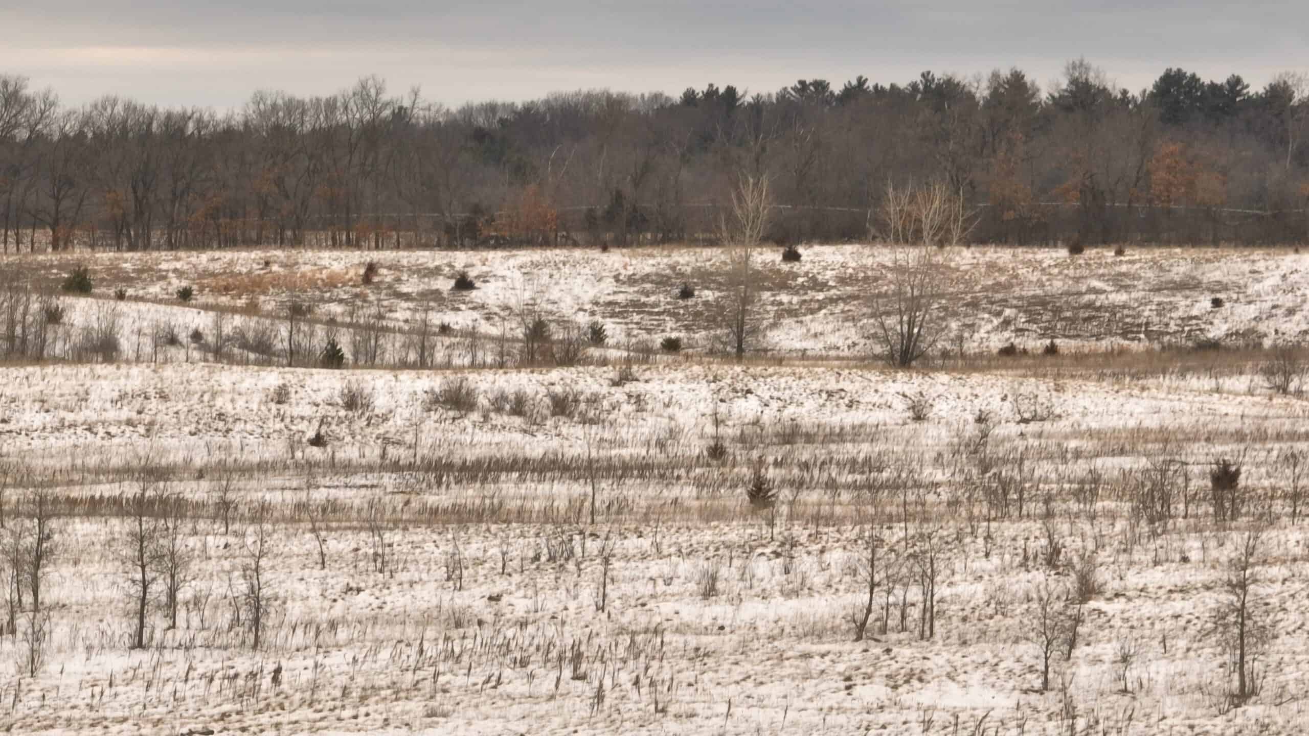 100-Acre Legacy Recreational Tract with Dual Road Frontage | Adams County, Wisconsin