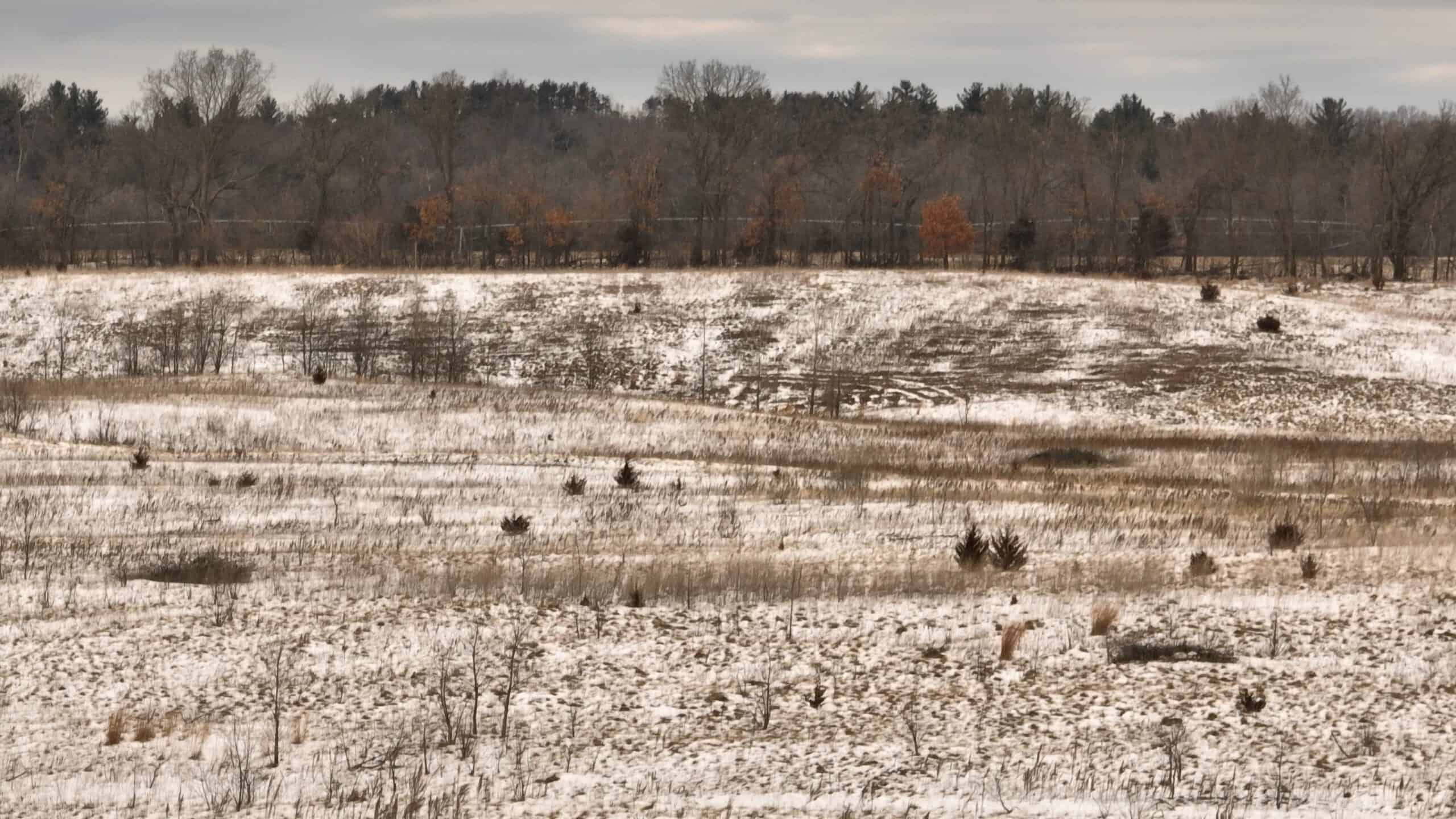 100-Acre Legacy Recreational Tract with Dual Road Frontage | Adams County, Wisconsin