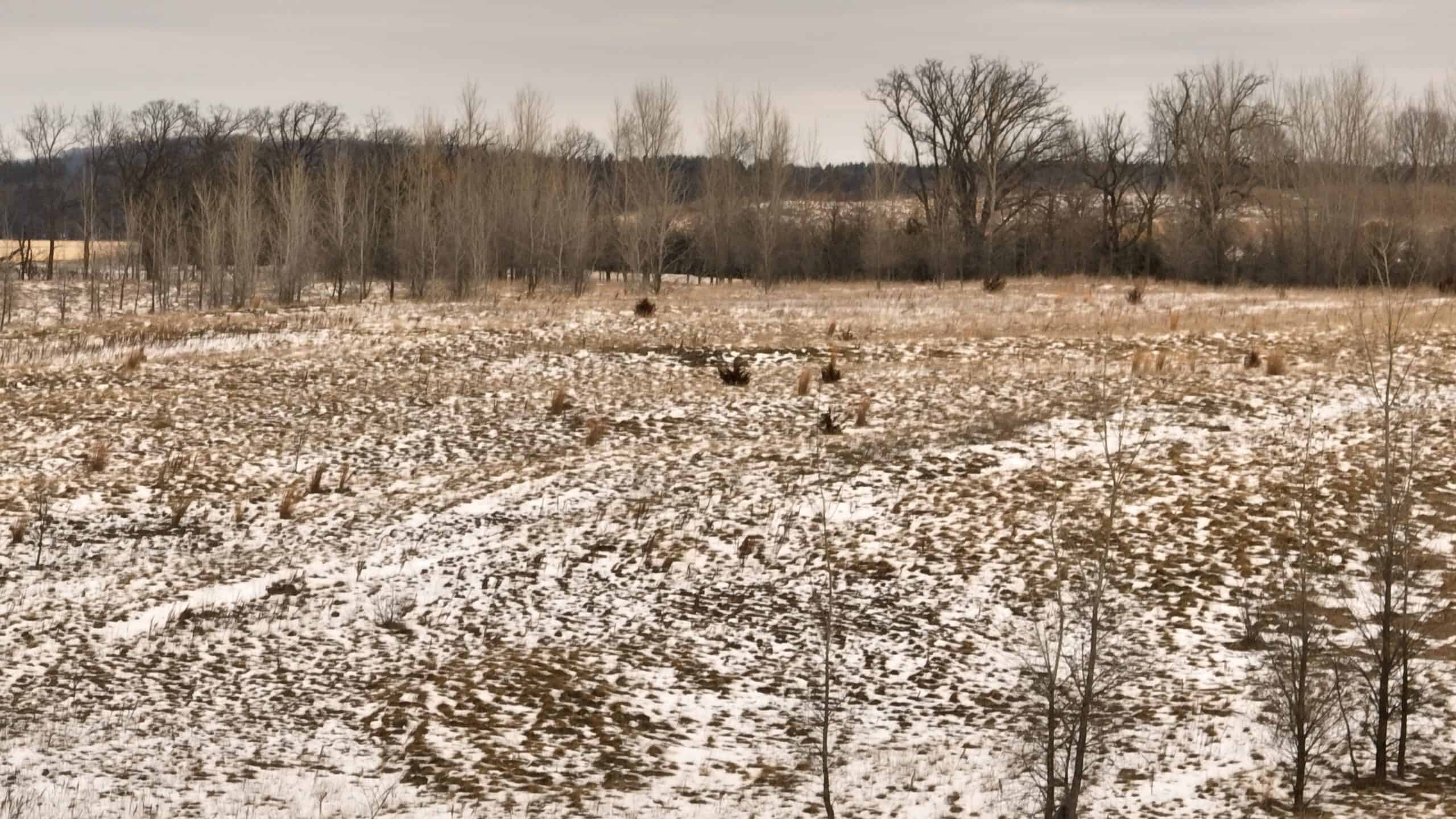100-Acre Legacy Recreational Tract with Dual Road Frontage | Adams County, Wisconsin