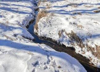 68± acre recreational property near Tomah in Monroe County