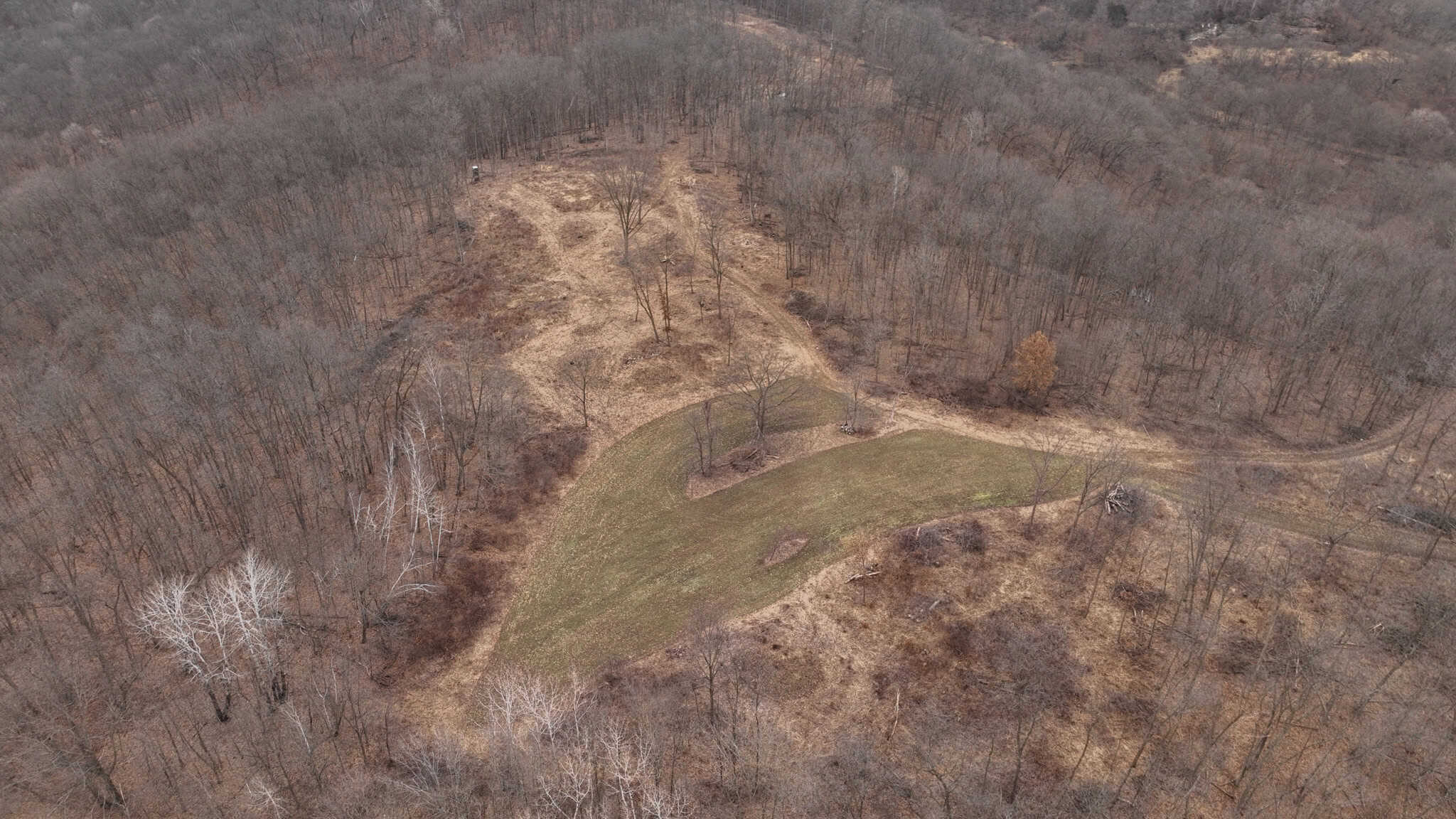 Updated Country Home with 77.8 Acres of Prime Whitetail Hunting
