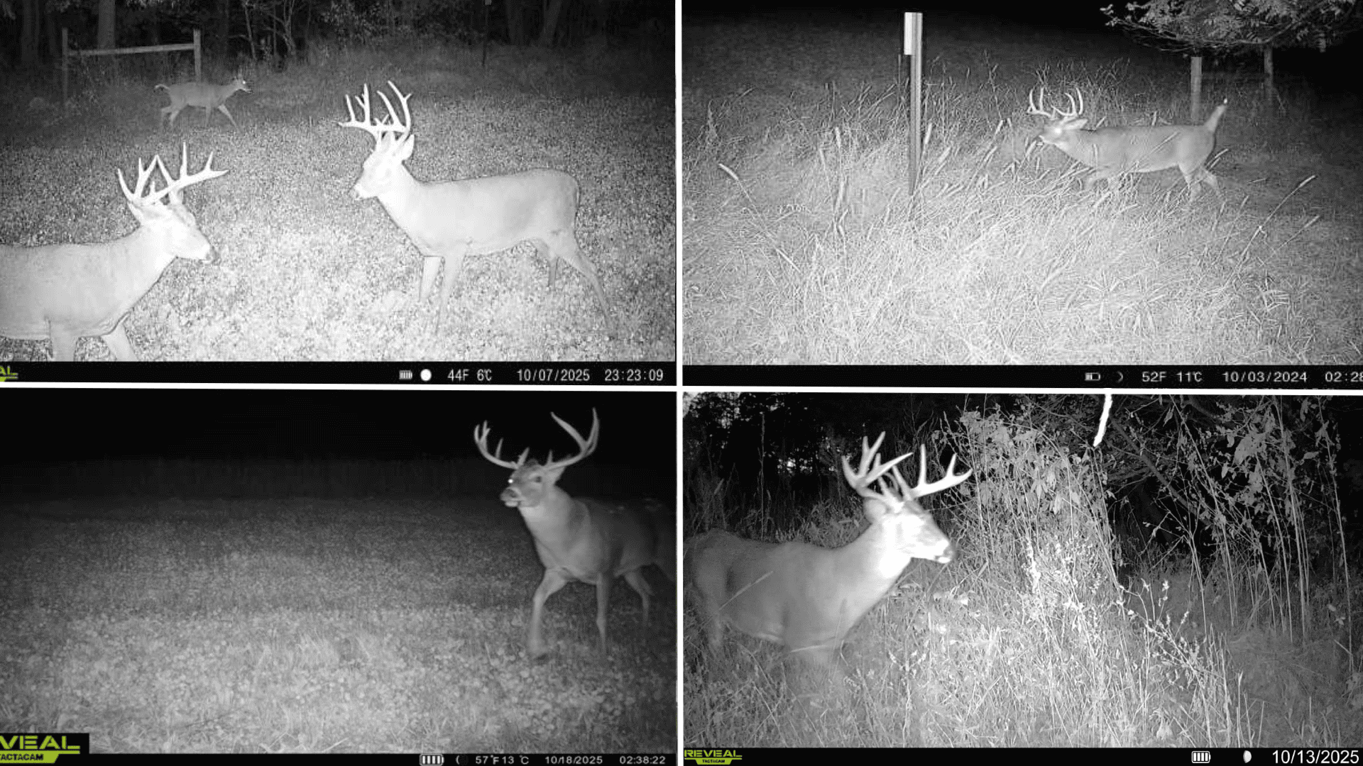 Blufftop Whitetail Estate – 39.21 Acres with Log Home & Trophy Deer Habitat in Richland County