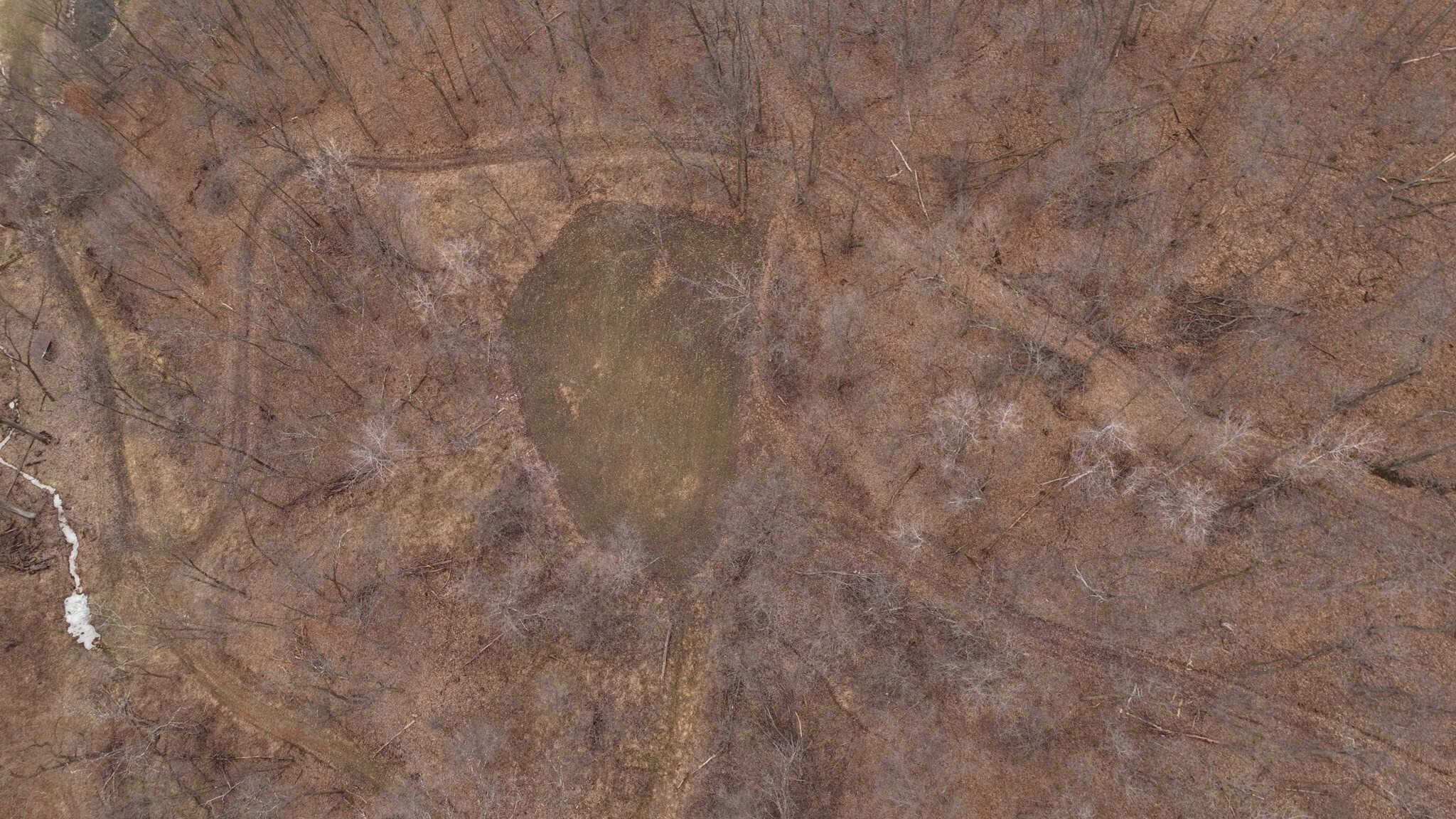 Updated Country Home with 77.8 Acres of Prime Whitetail Hunting