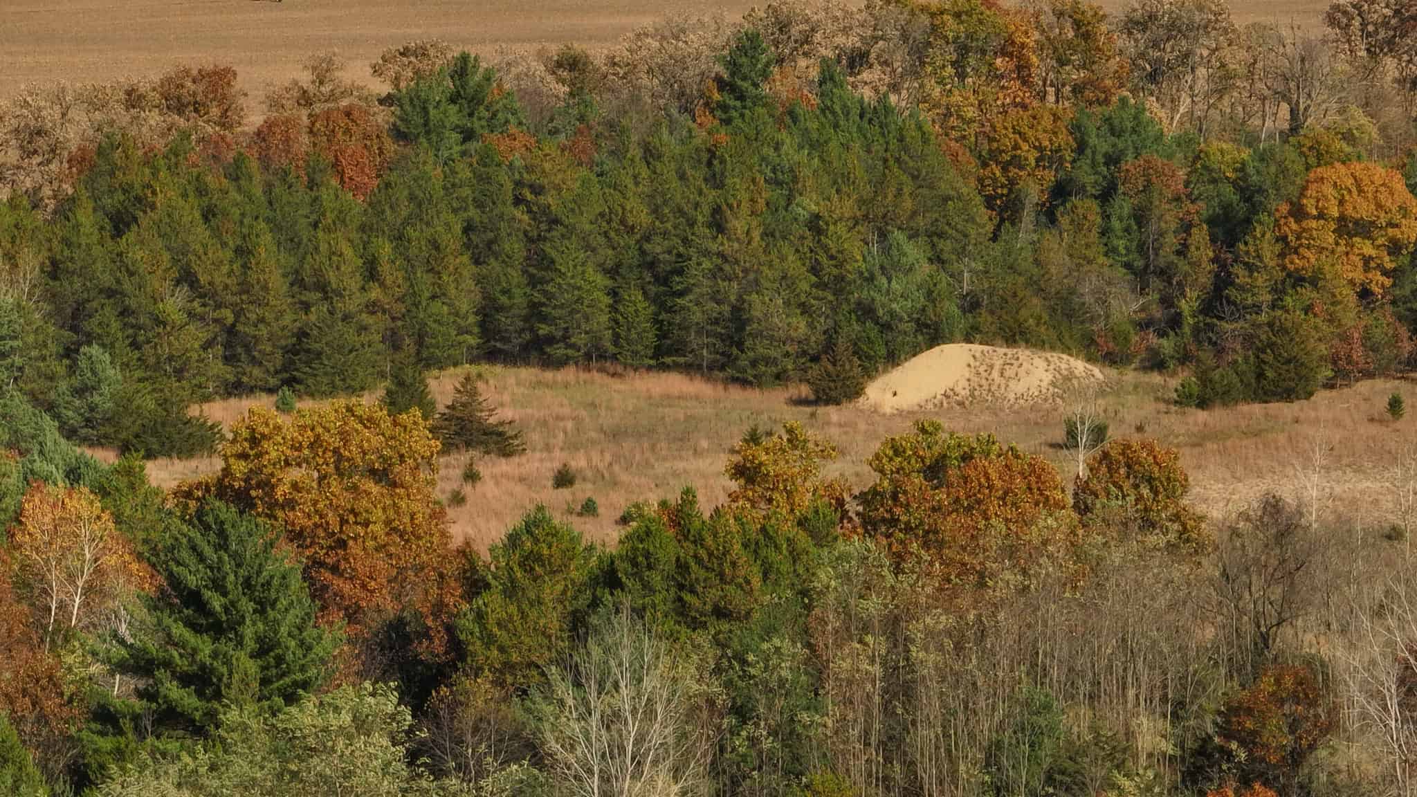 89.22-Acre Turnkey Whitetail Hunting Property in Adams County, Wisconsin