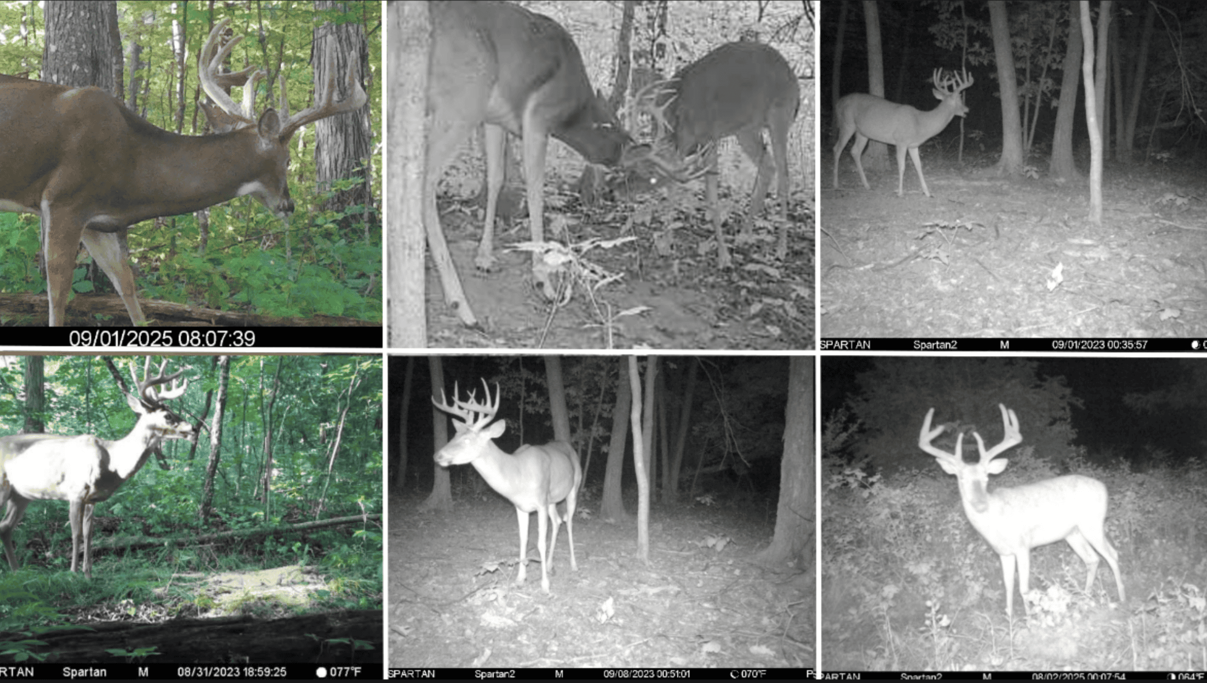 Updated Country Home with 77.8 Acres of Prime Whitetail Hunting