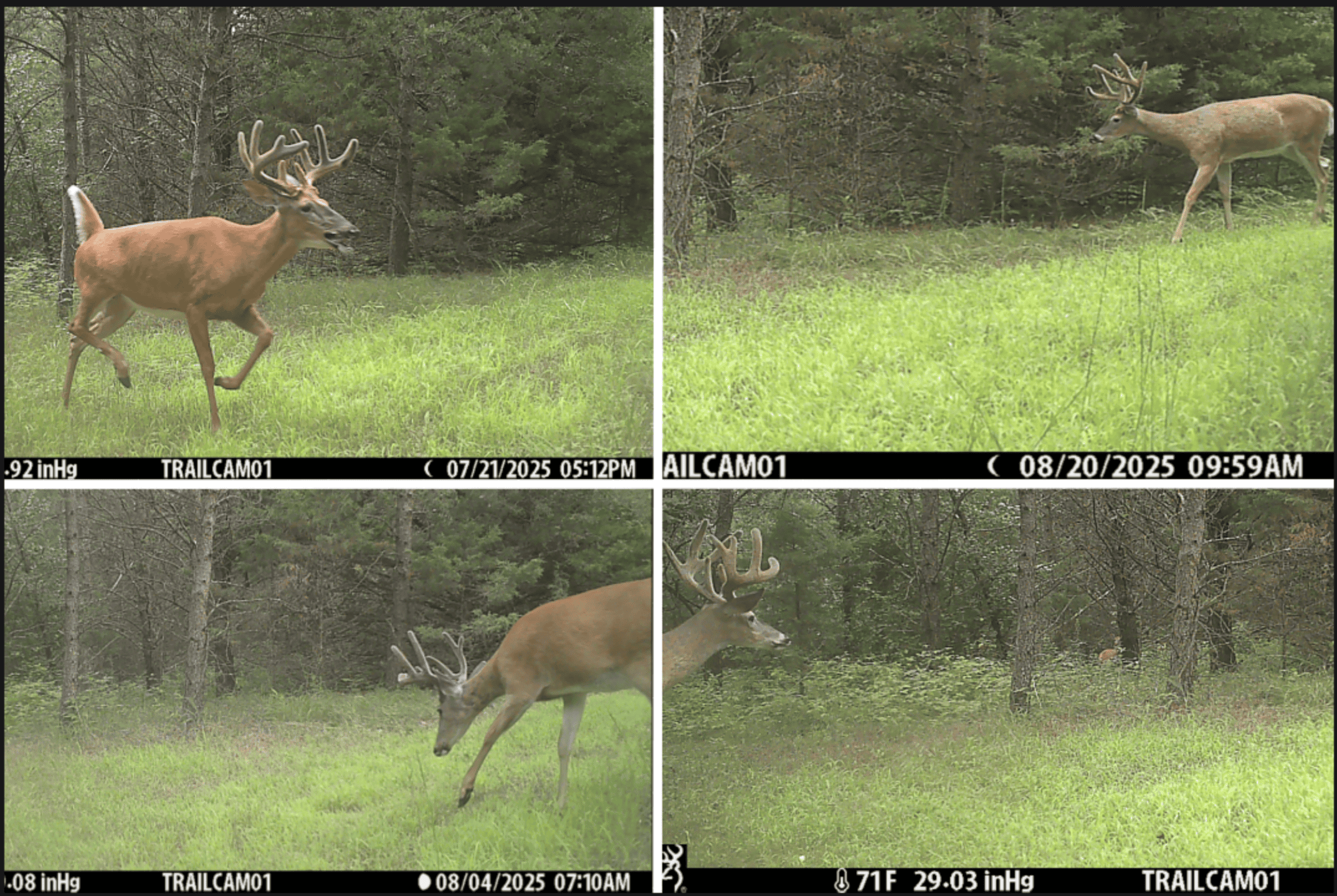 89.22-Acre Turnkey Whitetail Hunting Property in Adams County, Wisconsin