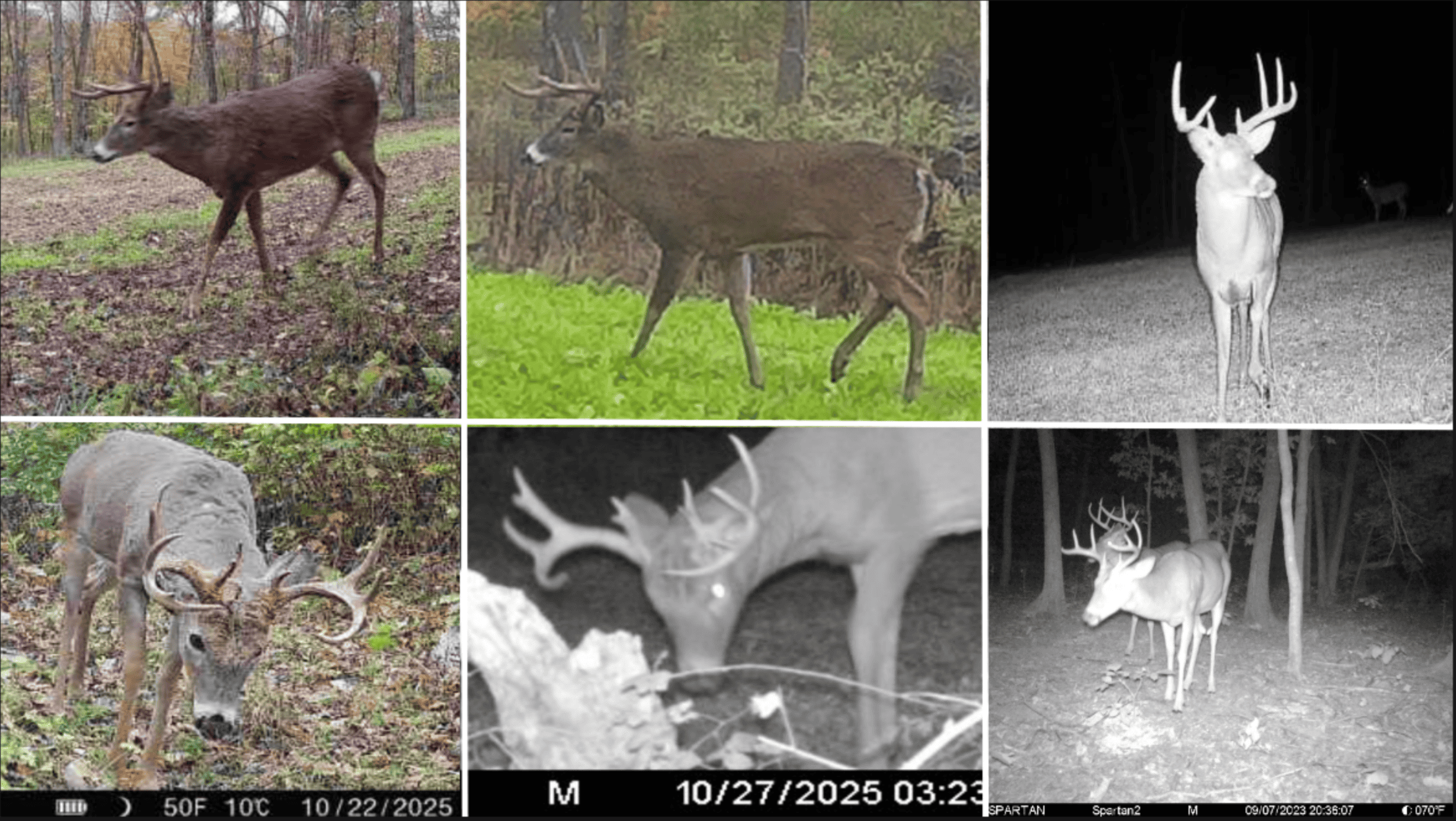 Updated Country Home with 77.8 Acres of Prime Whitetail Hunting