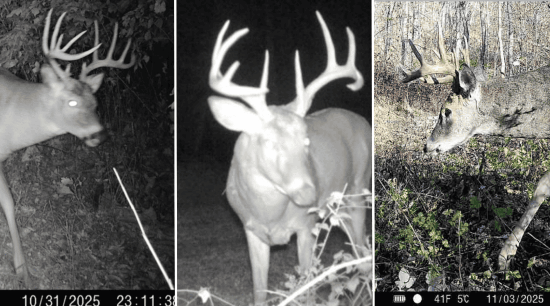 Updated Country Home with 77.8 Acres of Prime Whitetail Hunting