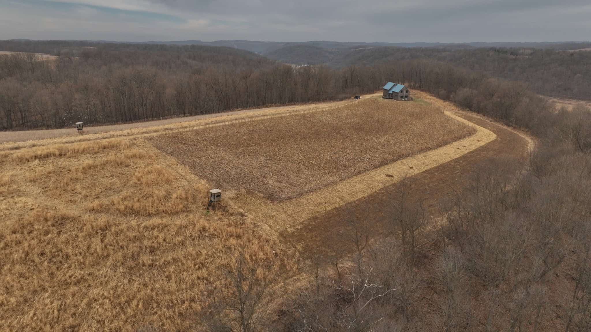 Blufftop Whitetail Estate – 39.21 Acres with Log Home & Trophy Deer Habitat in Richland County