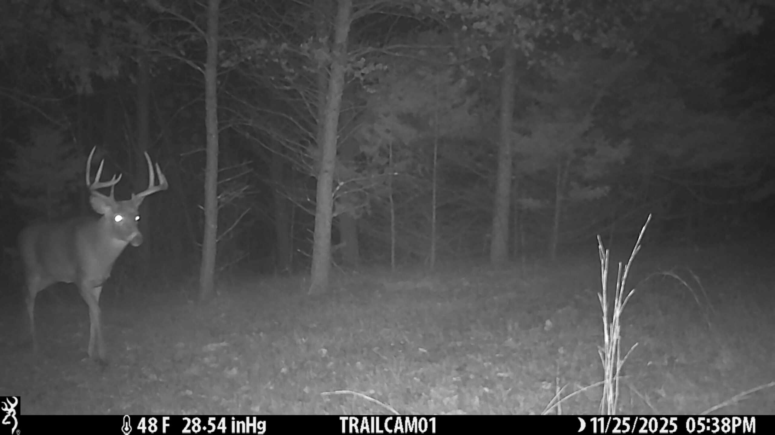 89.22-Acre Turnkey Whitetail Hunting Property in Adams County, Wisconsin
