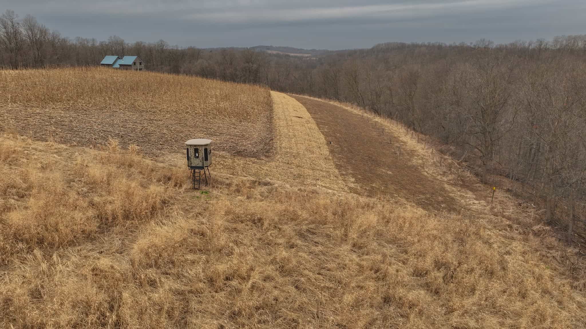Blufftop Whitetail Estate – 39.21 Acres with Log Home & Trophy Deer Habitat in Richland County