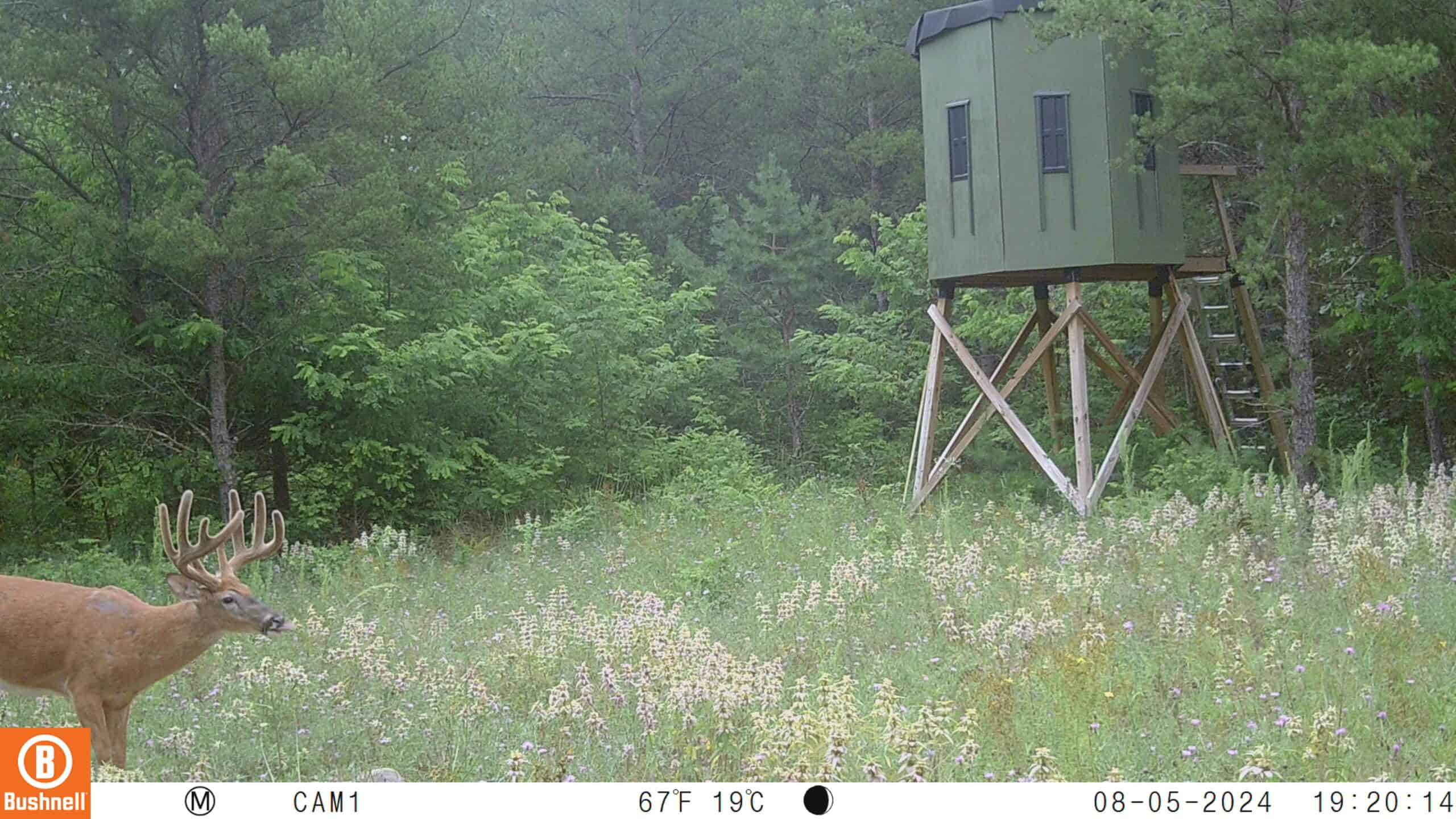 89.22-Acre Turnkey Whitetail Hunting Property in Adams County, Wisconsin