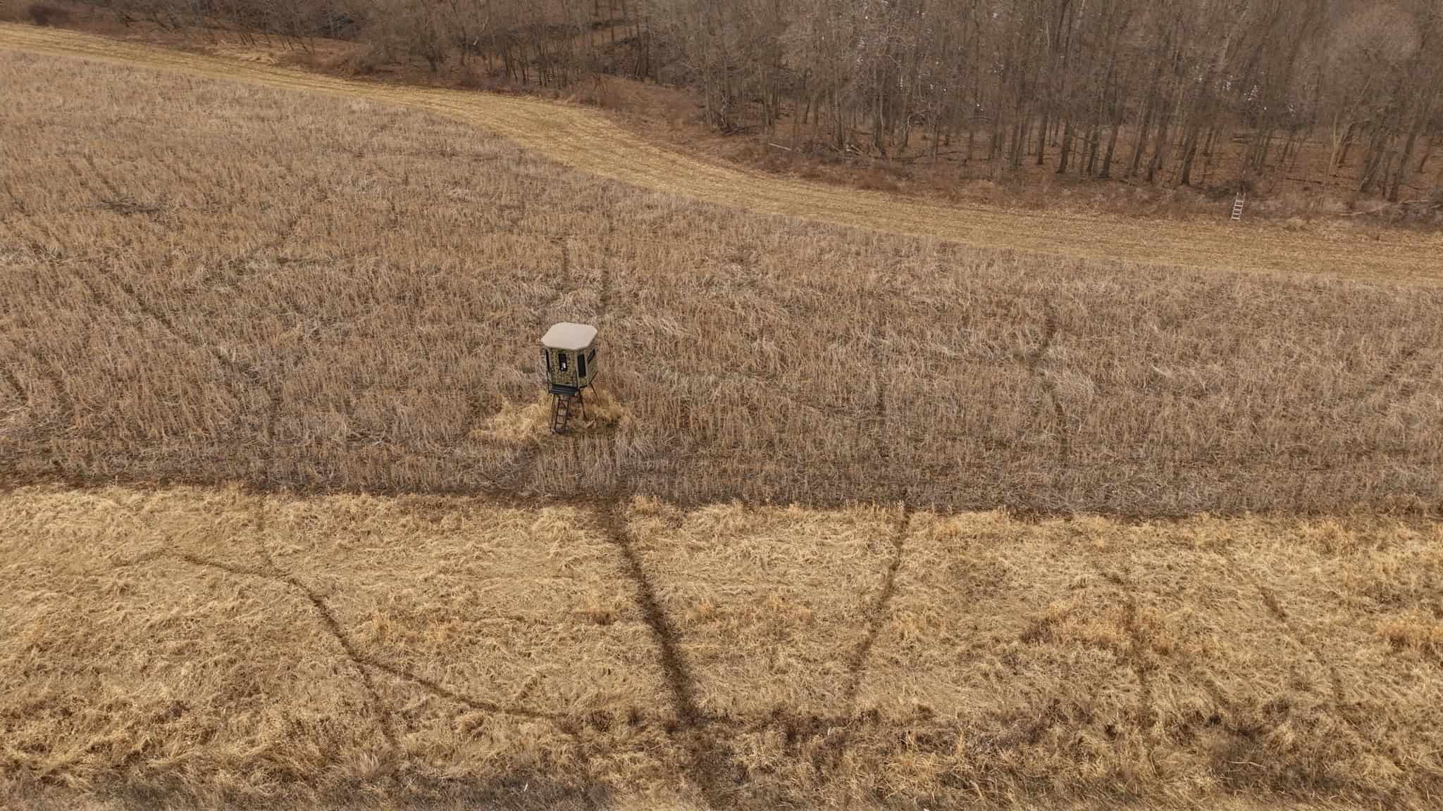 Blufftop Whitetail Estate – 39.21 Acres with Log Home & Trophy Deer Habitat in Richland County