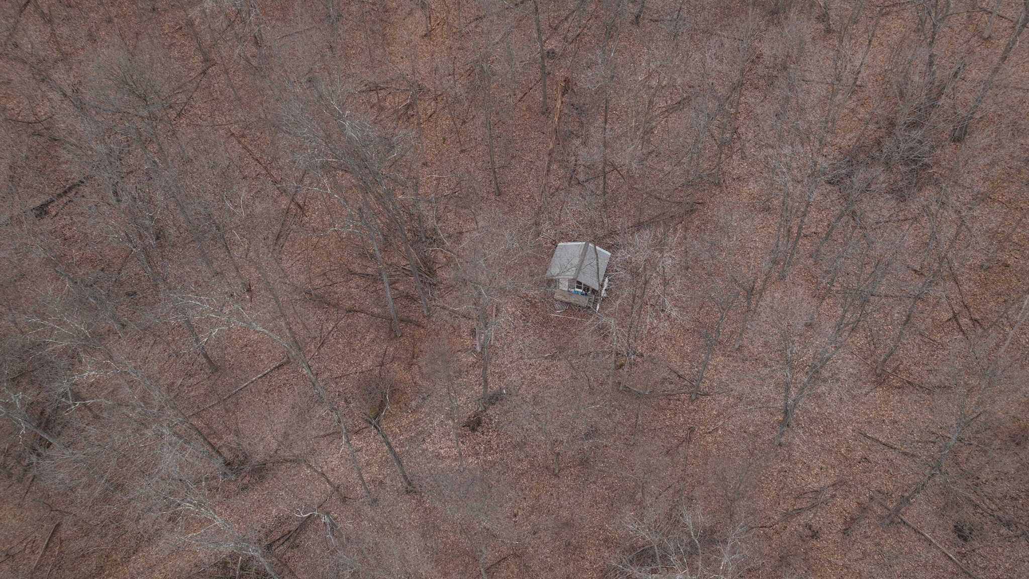 Updated Country Home with 77.8 Acres of Prime Whitetail Hunting