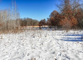 68± acre recreational property near Tomah in Monroe County