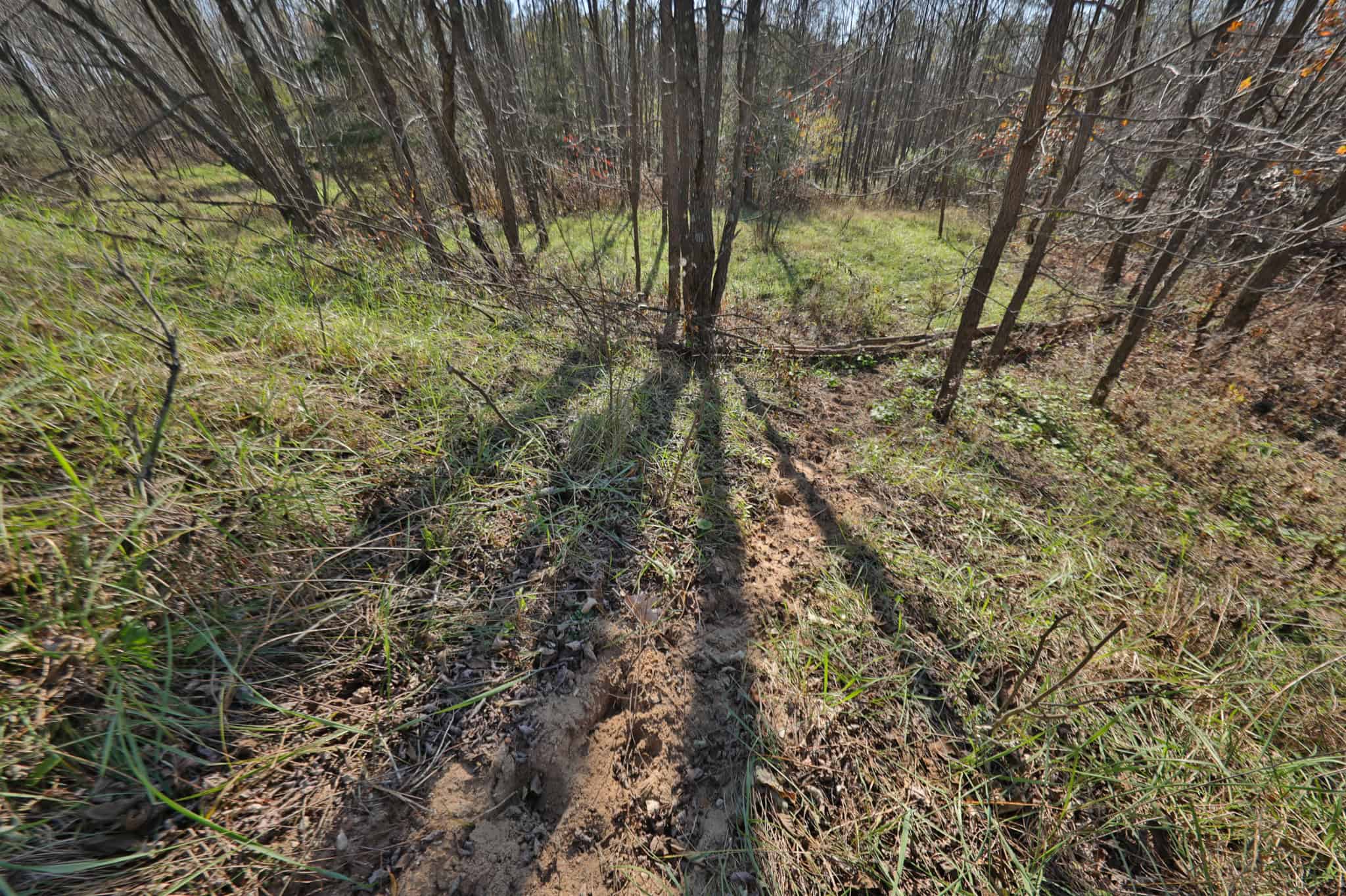 89.22-Acre Turnkey Whitetail Hunting Property in Adams County, Wisconsin