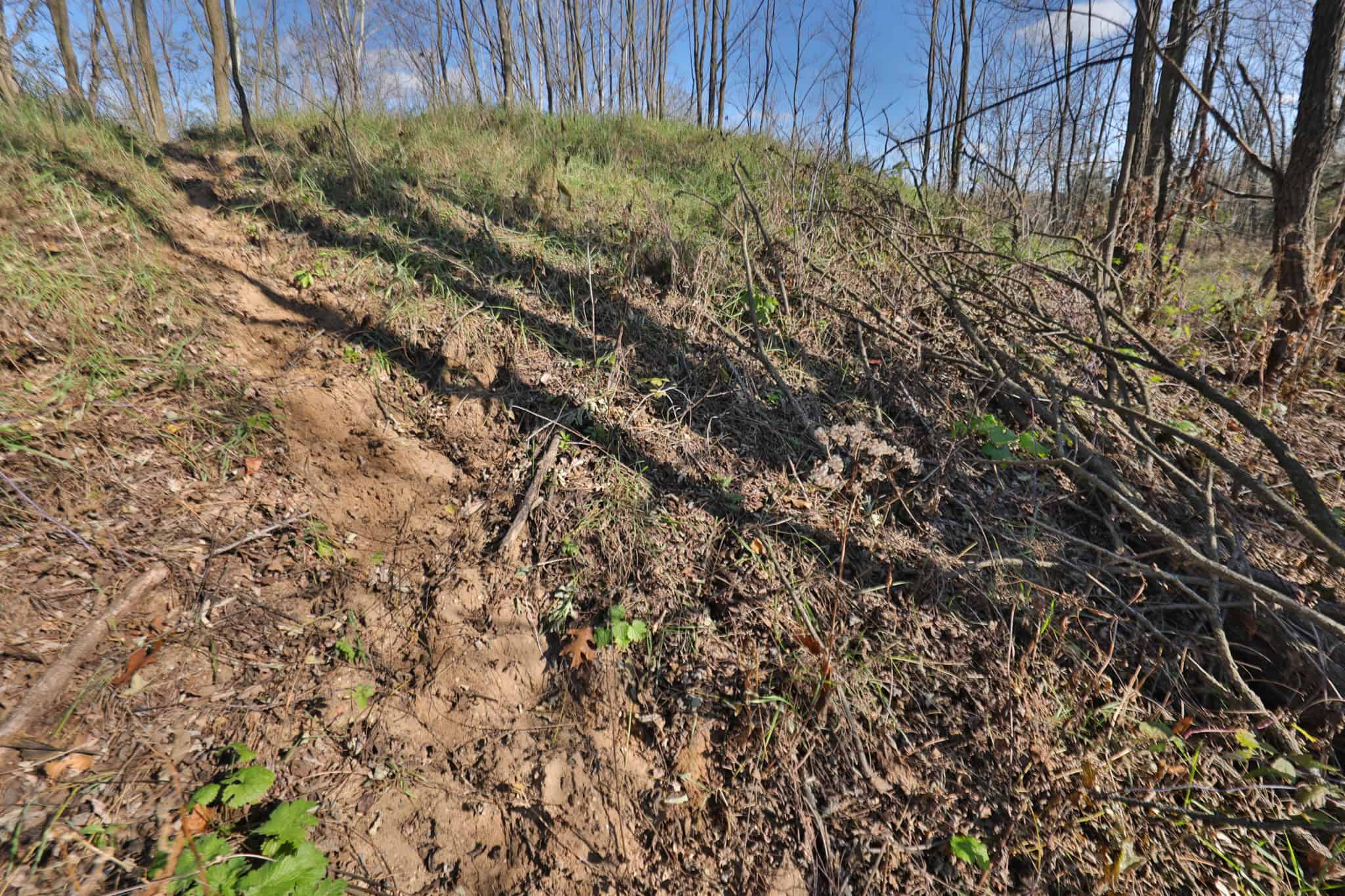 89.22-Acre Turnkey Whitetail Hunting Property in Adams County, Wisconsin