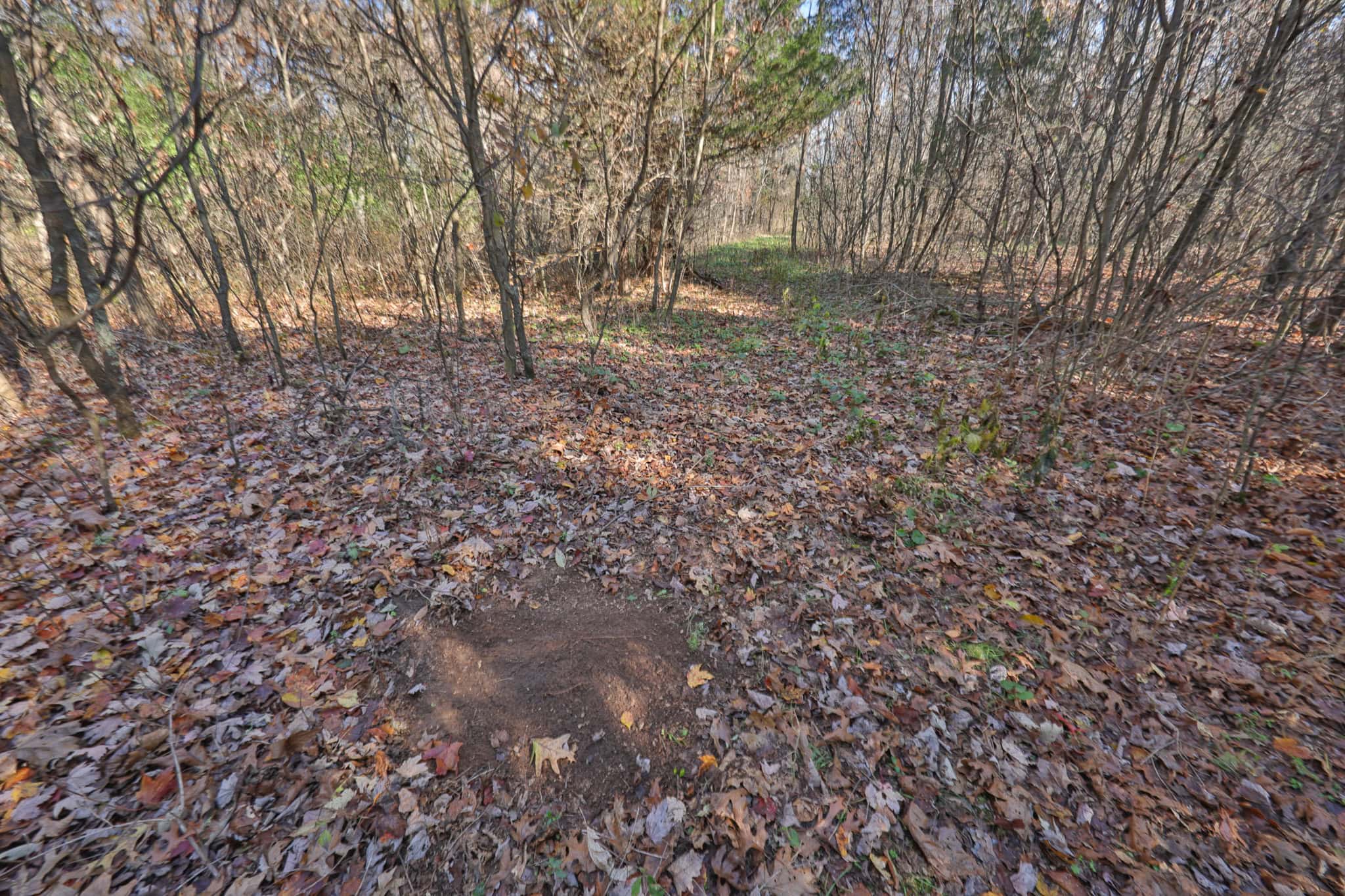 89.22-Acre Turnkey Whitetail Hunting Property in Adams County, Wisconsin