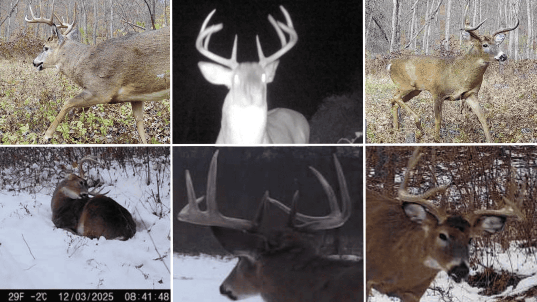 Updated Country Home with 77.8 Acres of Prime Whitetail Hunting