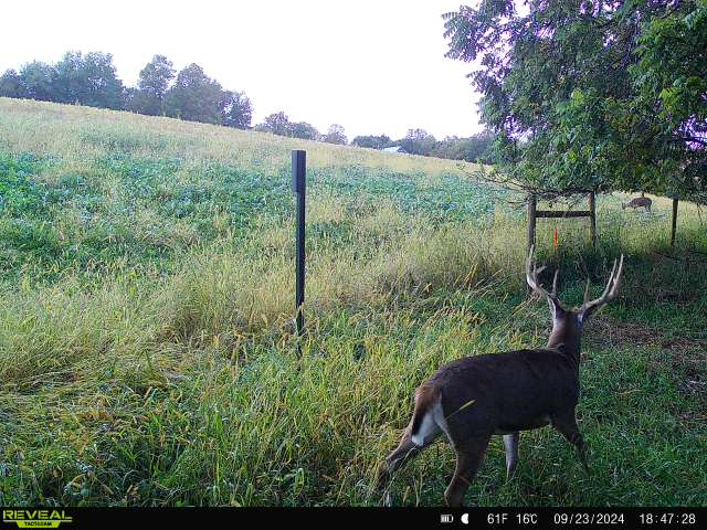 Blufftop Whitetail Estate – 39.21 Acres with Log Home & Trophy Deer Habitat in Richland County