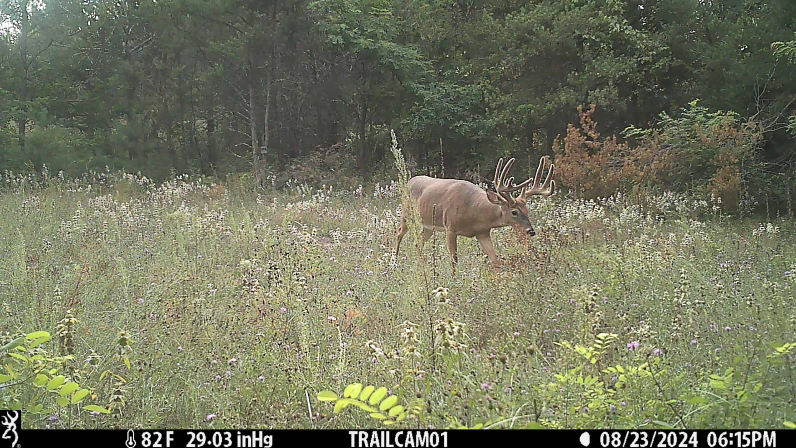 89.22-Acre Turnkey Whitetail Hunting Property in Adams County, Wisconsin