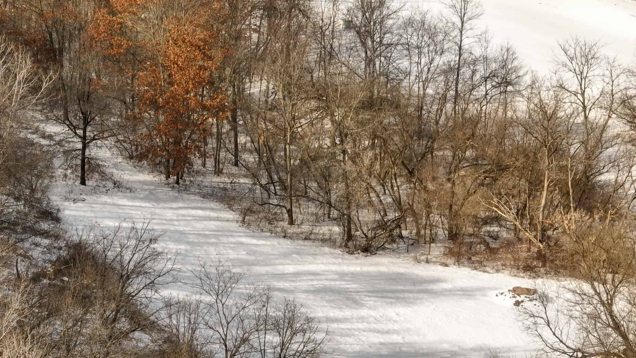 Dead-End Road 14-Acre Valley Estate with Dual Living Quarters Near Muscoda, WI