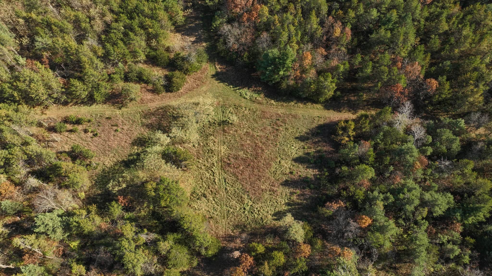 89.22-Acre Turnkey Whitetail Hunting Property in Adams County, Wisconsin