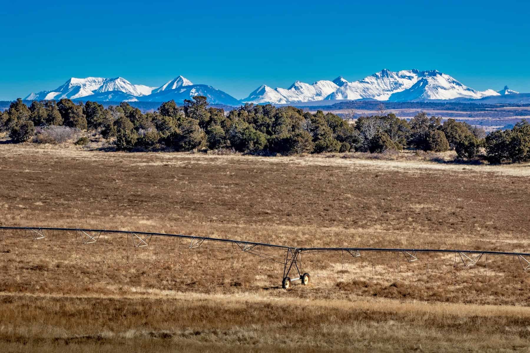 882 Acres Farm near Cortez Colorado For Sale!