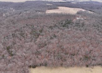 00 N Dade 237 Walnut Grove, MO 65770
