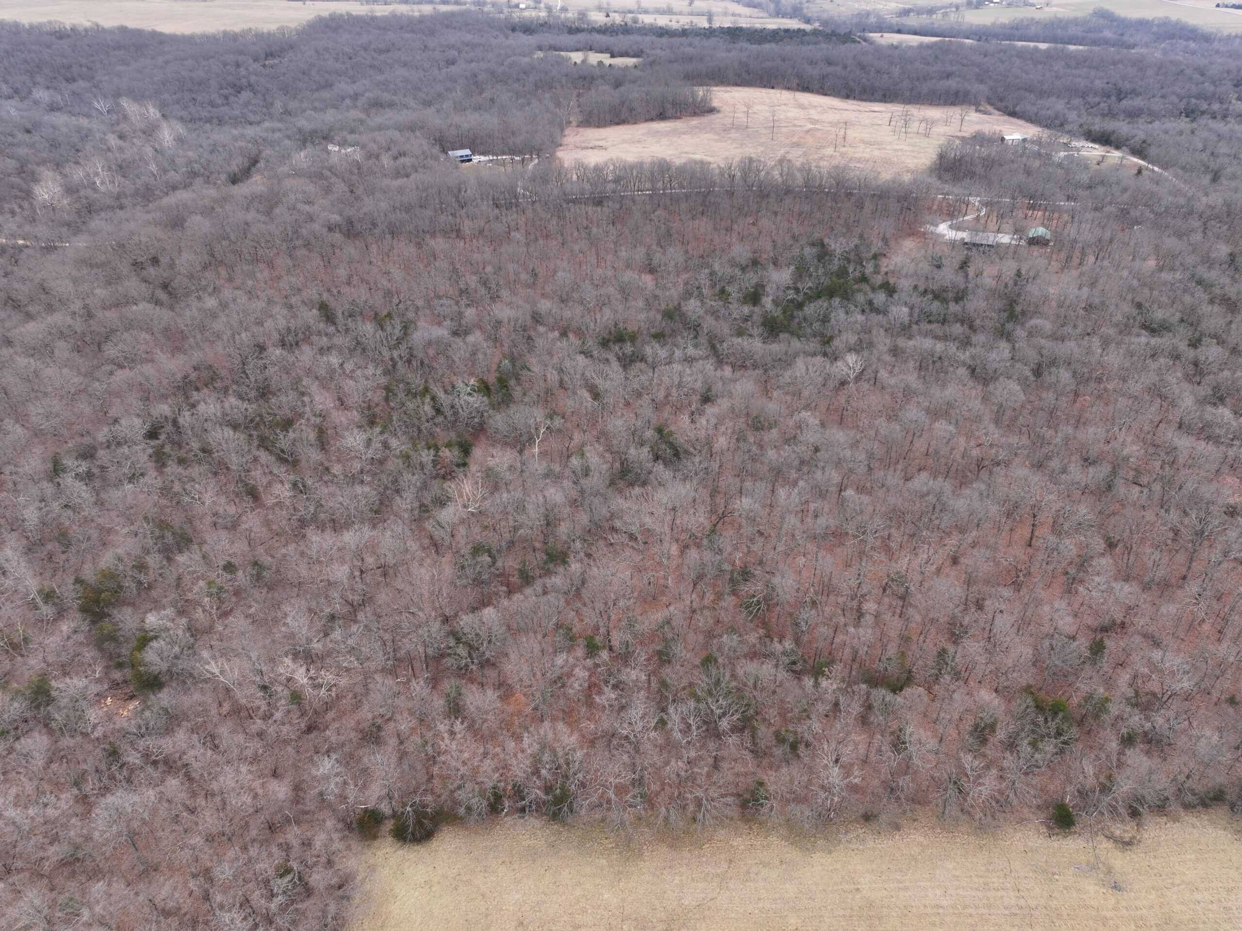 00 N Dade 237 Walnut Grove, MO 65770