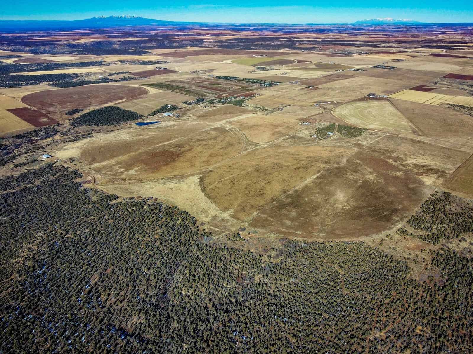 882 Acres Farm near Cortez Colorado For Sale!