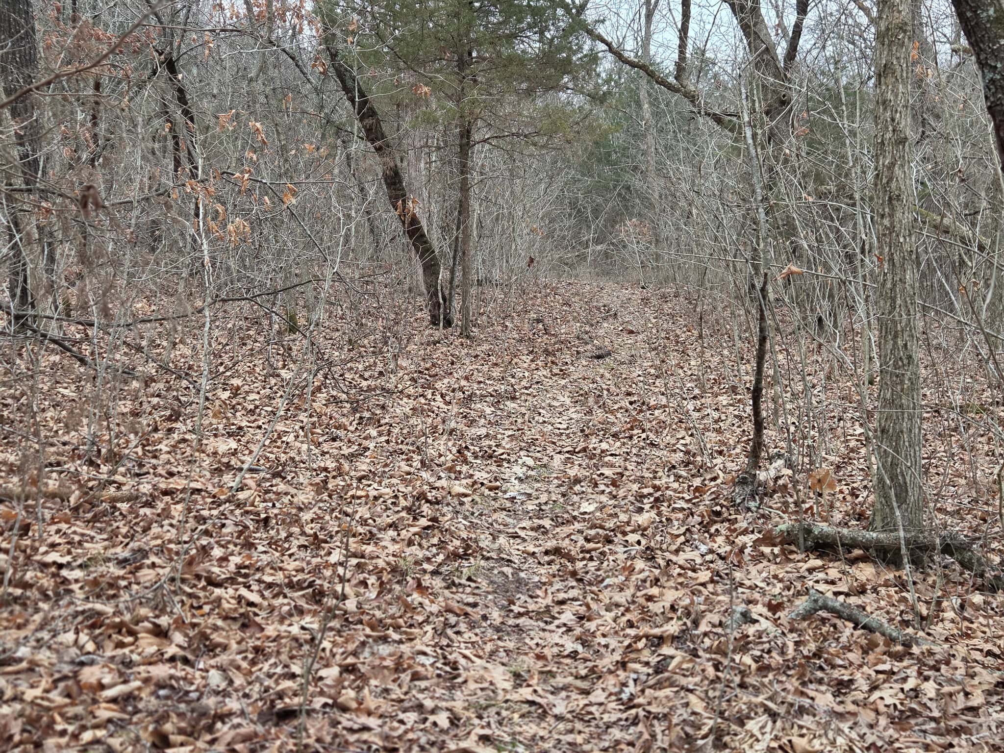 67 N Dade 237 Walnut Grove, MO 65770