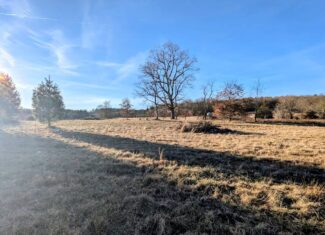 Recreational Land for Sale in Willis, VA