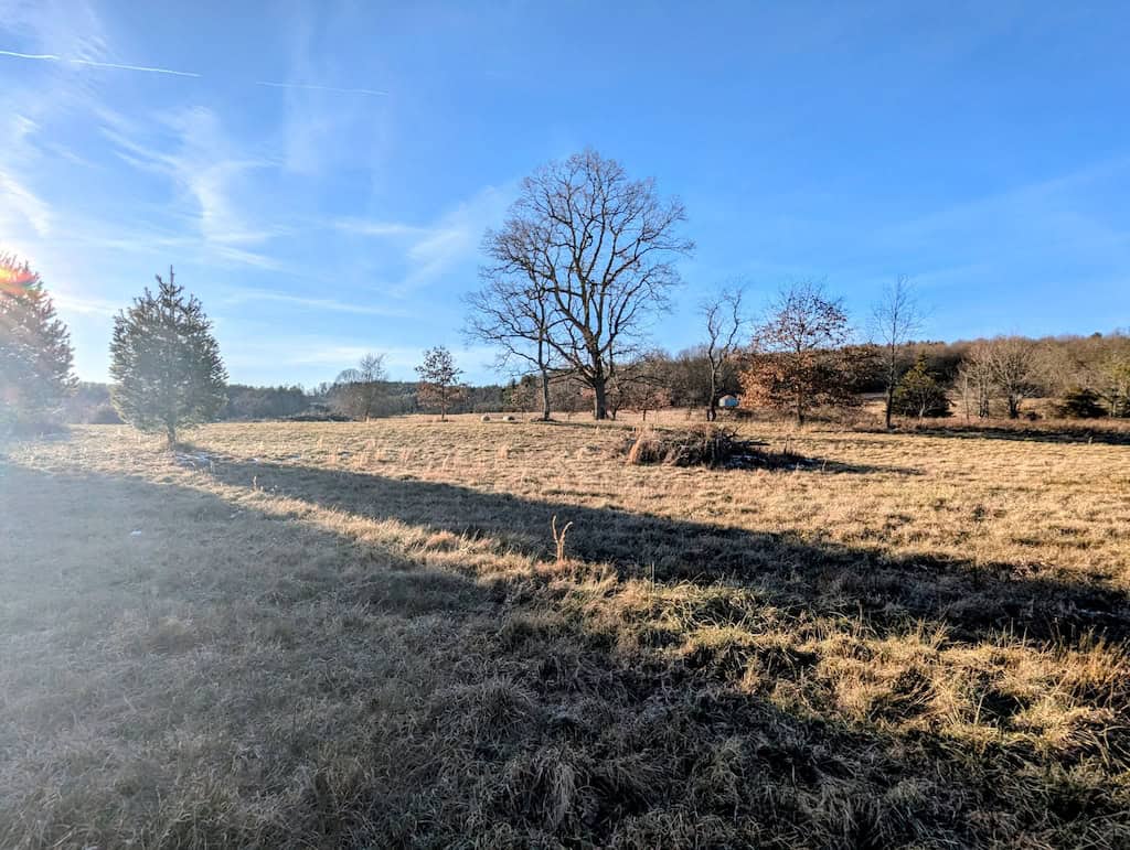 Recreational Land for Sale in Willis, VA