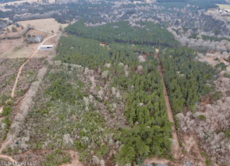 18 Acre Homesite in Magnolia, MS, Pike County
