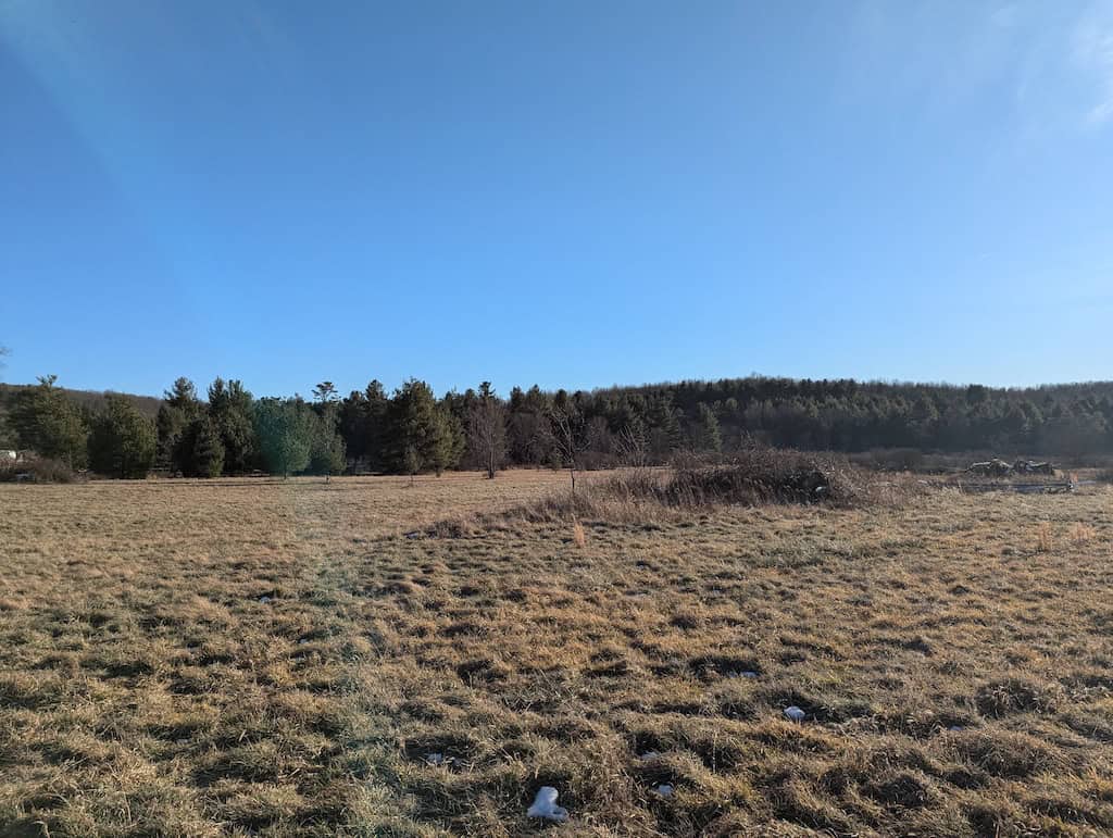 Recreational Land for Sale in Willis, VA