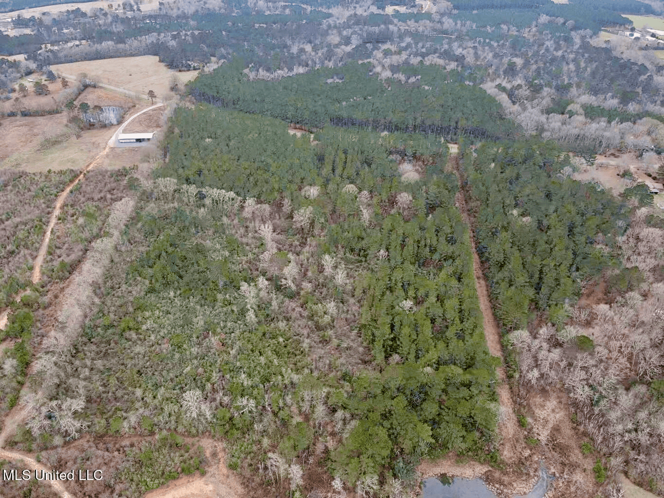 18 Acre Homesite in Magnolia, MS, Pike County