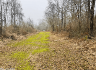 Hunting & Homesite Land Near Tylertown, MS