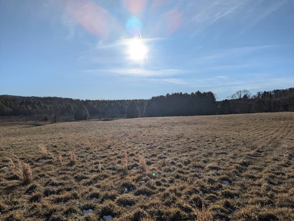 Recreational Land for Sale in Willis, VA