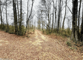 Hunting & Homesite Land Near Tylertown, MS