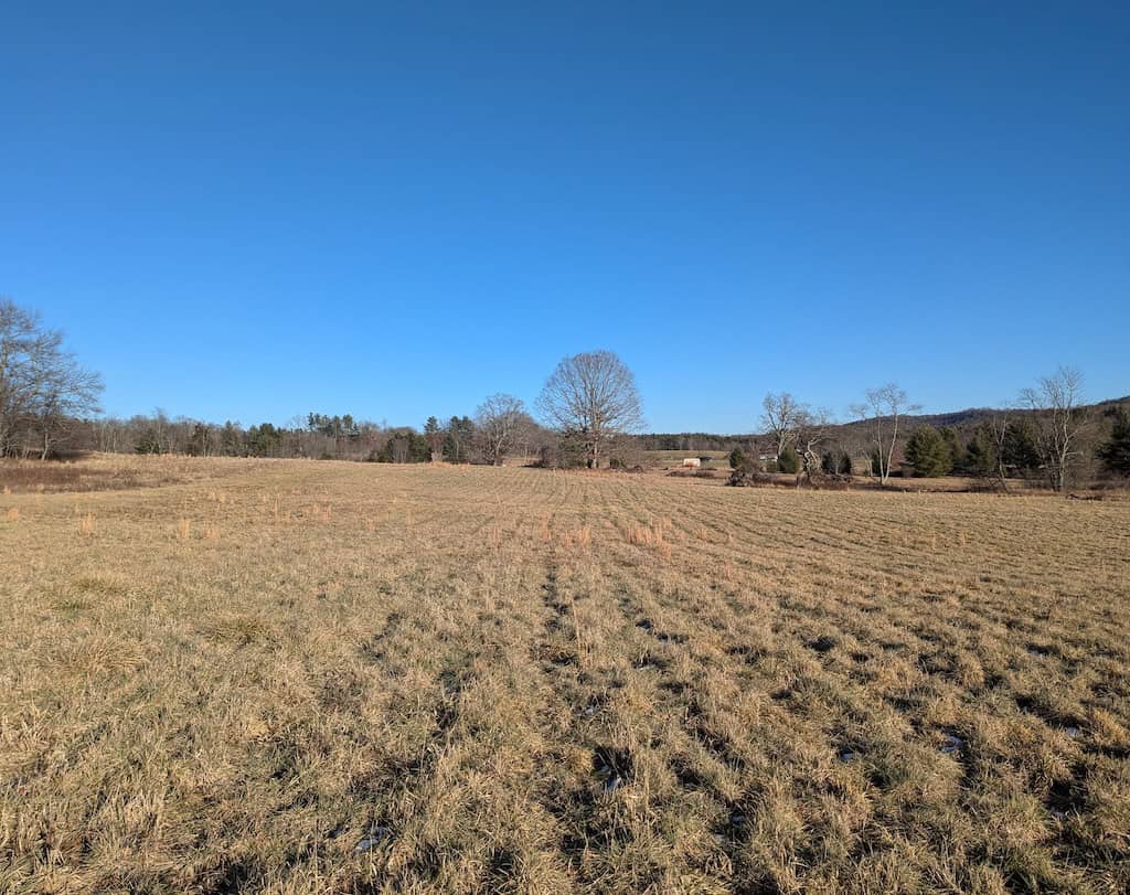 Recreational Land for Sale in Willis, VA