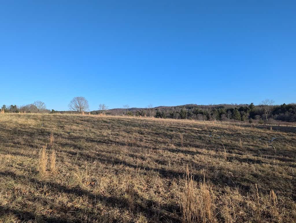 Recreational Land for Sale in Willis, VA