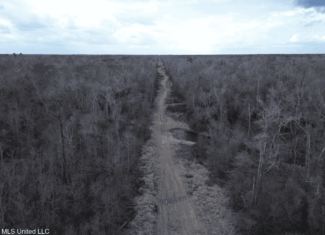 700 Acres in Allen Parish, Louisiana
