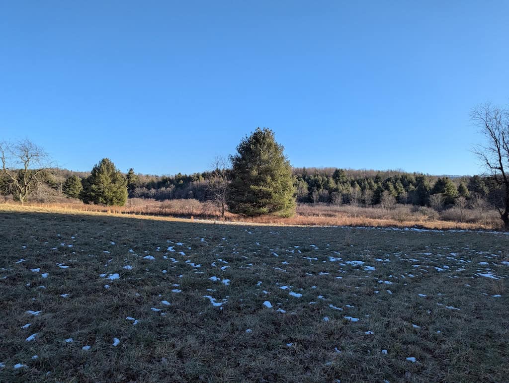Recreational Land for Sale in Willis, VA
