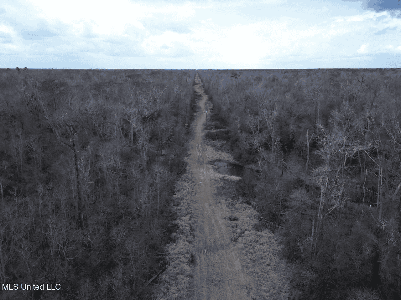 700 Acres in Allen Parish, Louisiana