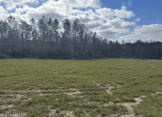 220 Acres South MS Hunting Tract with Camp/Homesite