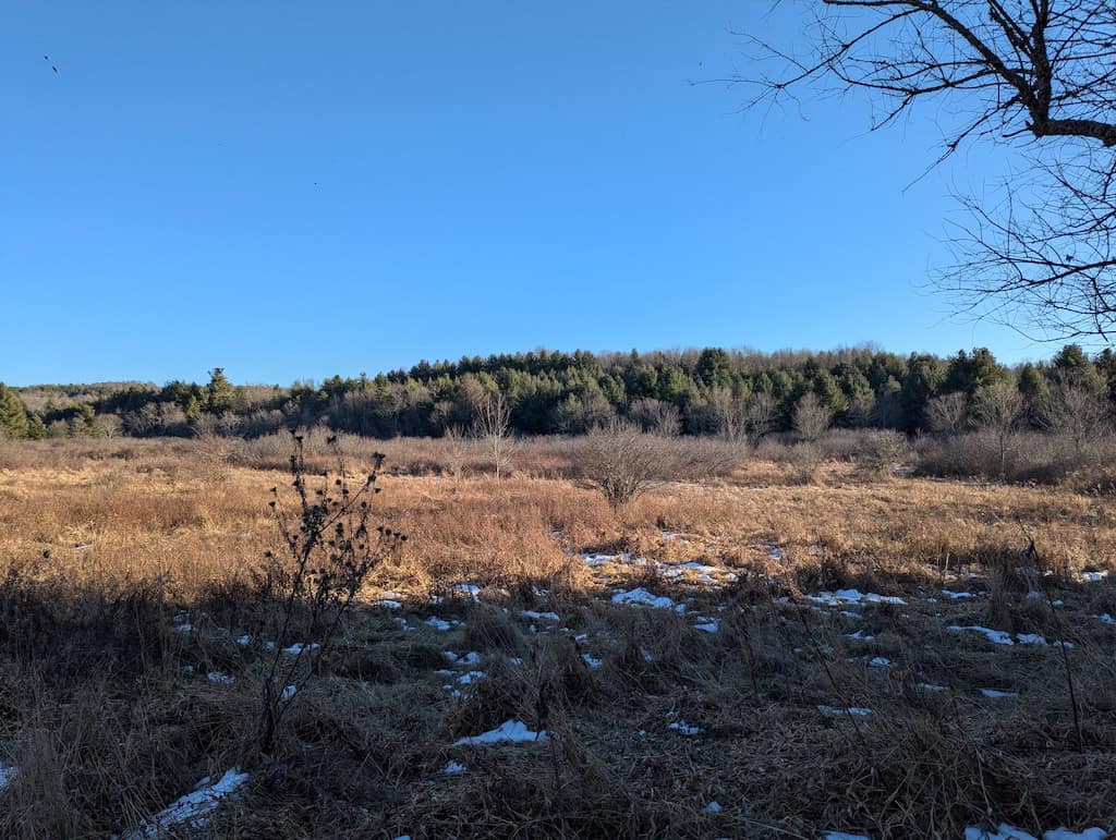 Recreational Land for Sale in Willis, VA