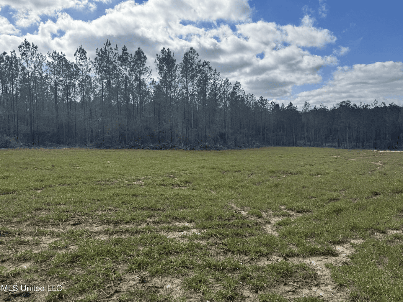 220 Acres South MS Hunting Tract with Camp/Homesite